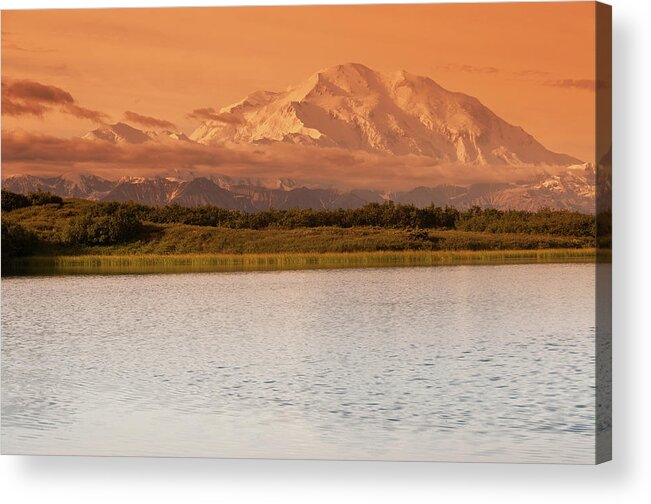 Scenics Acrylic Print featuring the photograph Denali Np Landscape With Denali #3 by John Elk