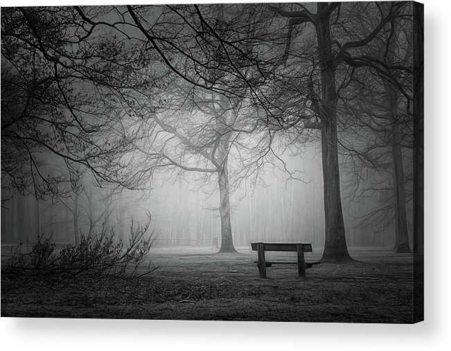 Forest Acrylic Print featuring the photograph Frozen In Time #3 by Saskia Dingemans