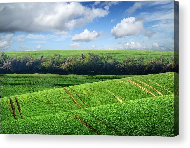 Landscape Acrylic Print featuring the photograph Picturesque Rural Landscape With Green #3 by Ivan Kmit