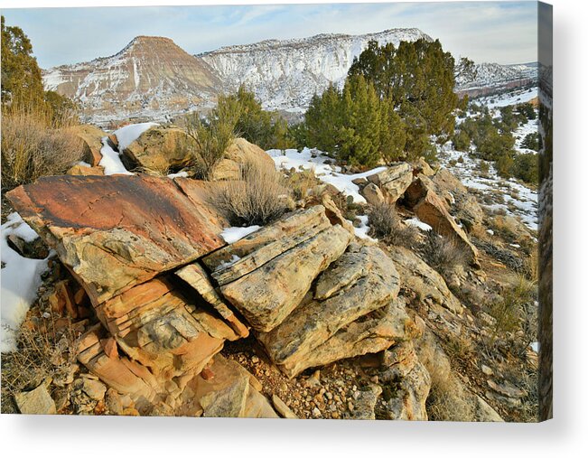 Colorado National Monument Acrylic Print featuring the photograph Colorado National Monument's East Entrance #4 by Ray Mathis