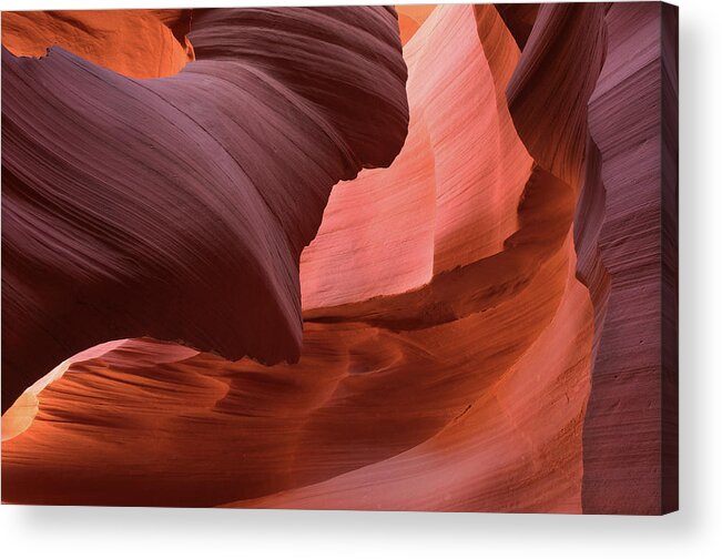 Antelope Canyon Acrylic Print featuring the photograph Abstract Sandstone Sculptured Canyon #5 by Mitch Diamond