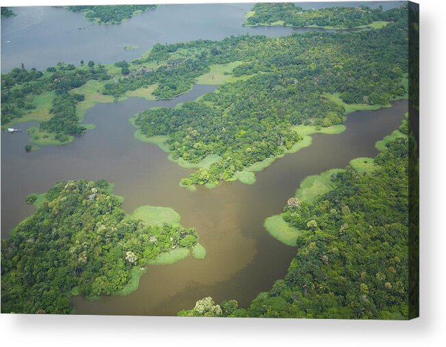 Aerial View Of Amazon Rainforest And Tributary Of The Rio Negro Acrylic Print featuring the photograph 800-1094 by Robert Harding Picture Library
