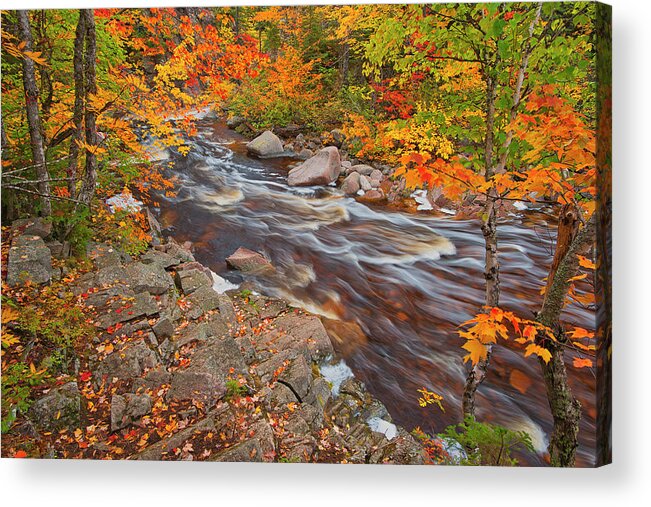 Autumn Acrylic Print featuring the photograph Canada, Nova Scotia #9 by Jaynes Gallery