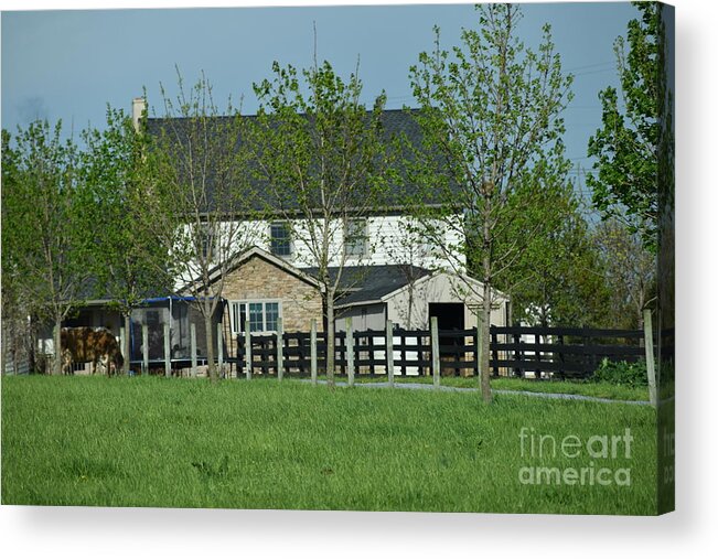Amish Acrylic Print featuring the photograph A Clear April Afternoon on an Amish Farm by Christine Clark