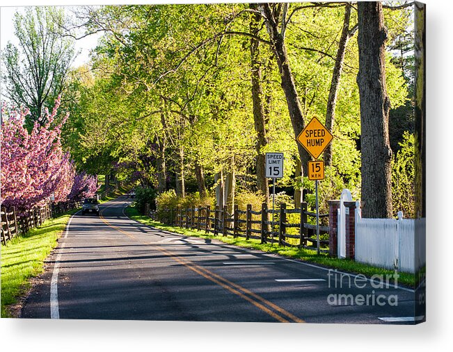 Landscape Acrylic Print featuring the photograph A Country Lane on a Springtime Afternoon by Steve Ember