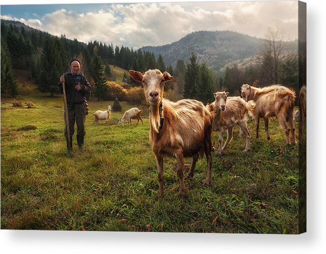 Romania Acrylic Print featuring the photograph A Day In The Carpathian Mountains by Felipe Souto