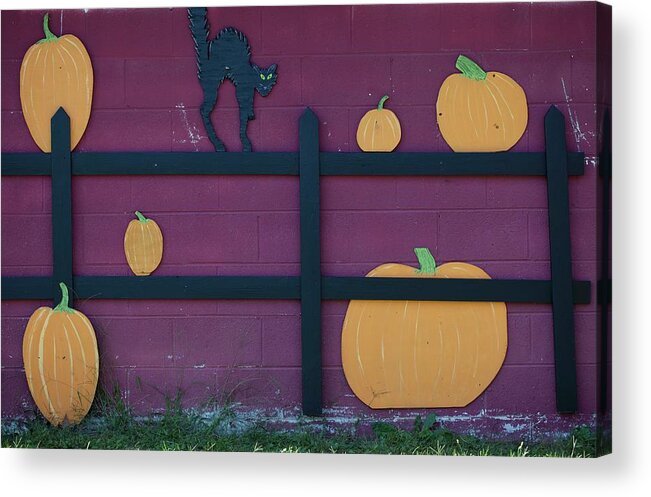 Ip_11236139 Acrylic Print featuring the photograph A Halloween Cut Out Of A Black Cat On A Fence With Pumpkins by Yelena Strokin