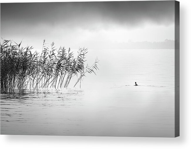 Lake Acrylic Print featuring the photograph A Hazy Shade Of Winter by George Digalakis