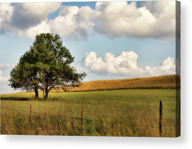 Creek County Acrylic Print featuring the photograph A Little Shade by Lana Trussell