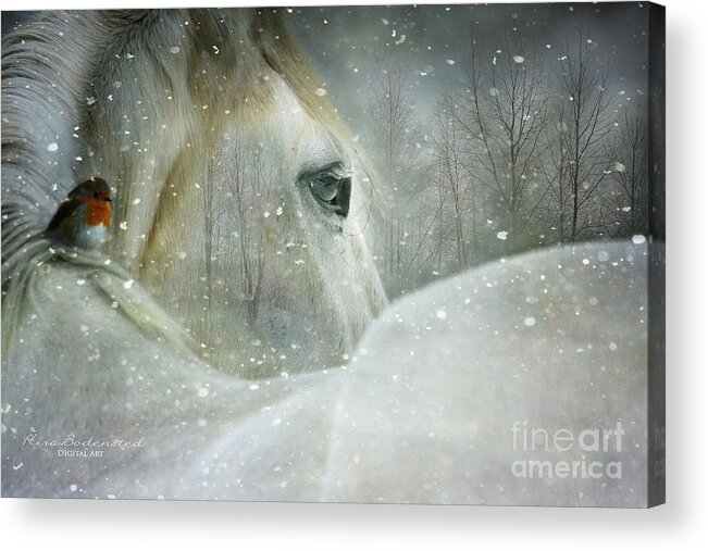 Winter Acrylic Print featuring the photograph A Midwinters Dream by Kira Bodensted