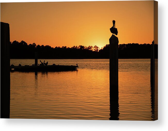 Sunset Acrylic Print featuring the photograph A Sunset For The Birds at Skull Creek Marina by Dennis Schmidt