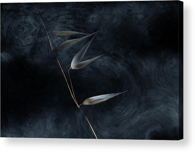 Van Gogh
Clouds
Weed
Nature
Stars
Black
Dark
Artsy
Painterly Acrylic Print featuring the photograph A Van Gogh Night And Weed by Cicek Kiral