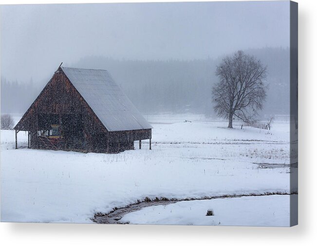 Awesome Acrylic Print featuring the photograph A Winter Scene by Don Hoekwater Photography