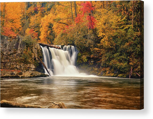 Abrams Falls Acrylic Print featuring the photograph Abrams Falls Autumn by Greg Norrell