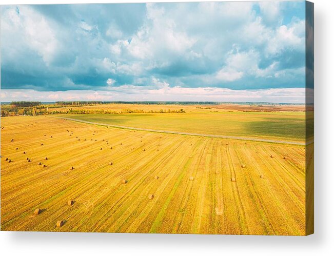 Landscapeaerial Acrylic Print featuring the photograph Aerial View Of Autumn Hay Rolls Straw by Ryhor Bruyeu