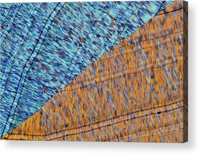 Abstract Acrylic Print featuring the photograph Agate From Malawi, Lm by Bernardo Cesare