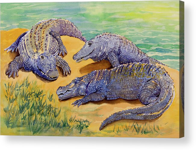 Alligator Acrylic Print featuring the painting Alligator Storytime by Margaret Zabor