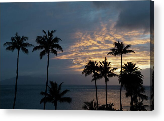 Hawaii Acrylic Print featuring the photograph Aloha and Goodbye by G Lamar Yancy