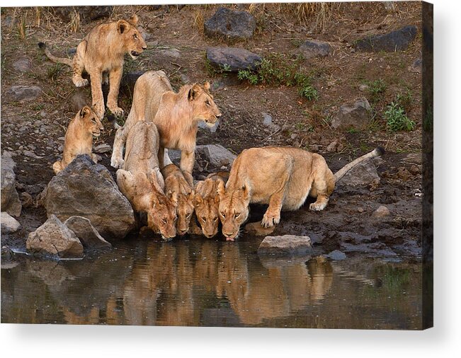 River Acrylic Print featuring the photograph Along The Mara by Muriel Vekemans