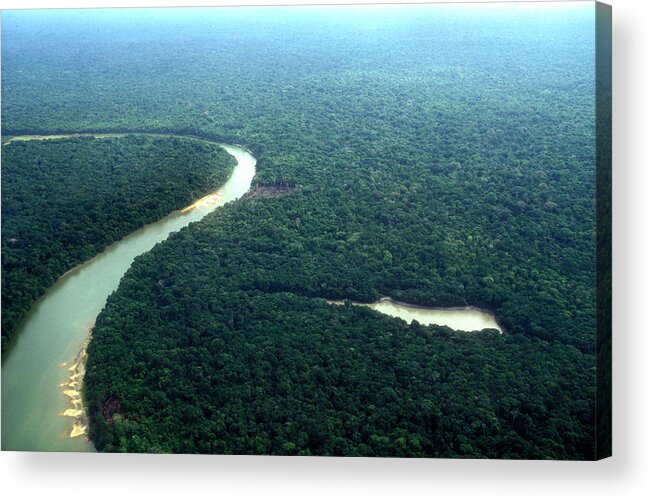Tropical Rainforest Acrylic Print featuring the photograph Amazon Planet by Am29