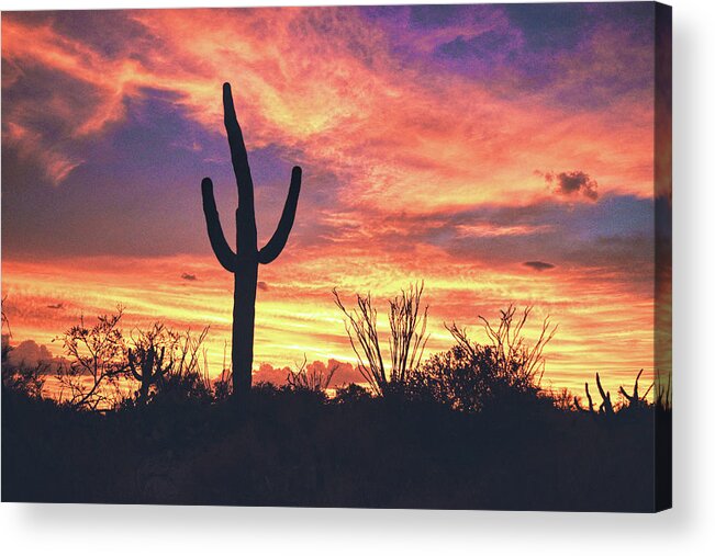 Arizona Acrylic Print featuring the photograph An Arizona Sunset by Chance Kafka