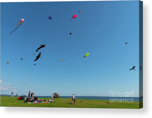 Kite Acrylic Print featuring the photograph And Not One Tangle by Joe Geraci