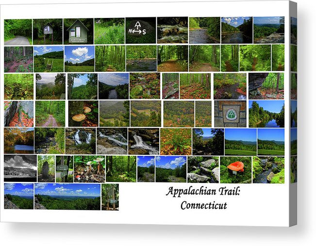 Appalachian Trail Connecticut Acrylic Print featuring the photograph Appalachian Trail Connecticut by Raymond Salani III