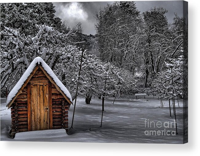Apple Tree Acrylic Print featuring the photograph Apple Trees in the Snow by Alex Morales