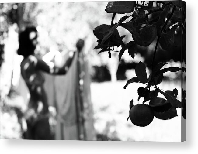 Woman Acrylic Print featuring the photograph Apples II by Inese Kreigere