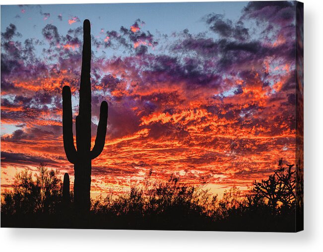 Arizona Sunset Acrylic Print featuring the photograph Arizona Sunset by Chance Kafka