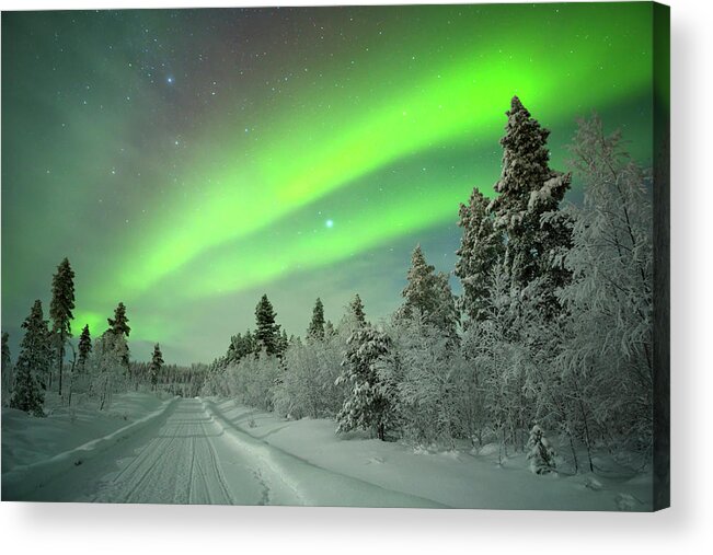 Snow Acrylic Print featuring the photograph Aurora Borealis Over A Track Through by Sara winter