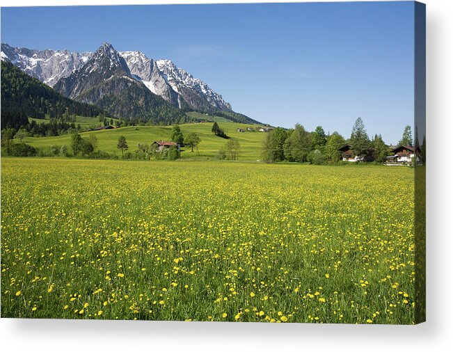 Tranquility Acrylic Print featuring the photograph Austria, Tyrol, Kaisergebirge by Westend61