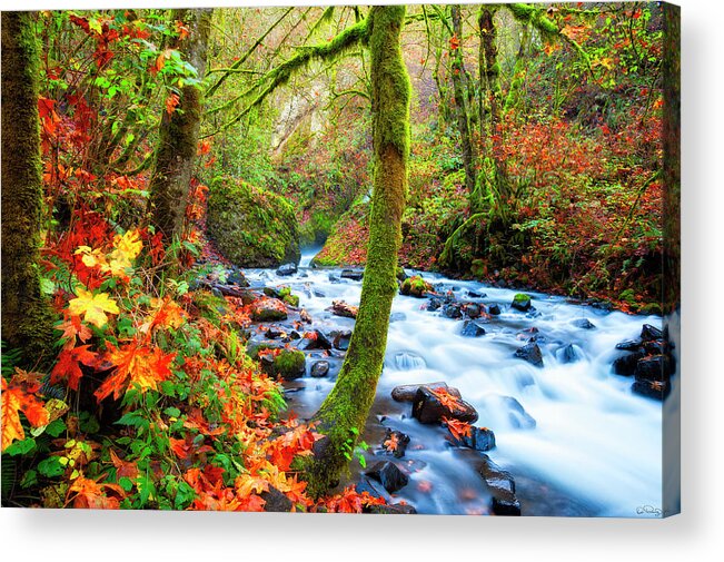 Bridal Veil Falls Acrylic Print featuring the photograph Autumn Along Bridal Veil Creek Columbia River Gorge by Dee Browning