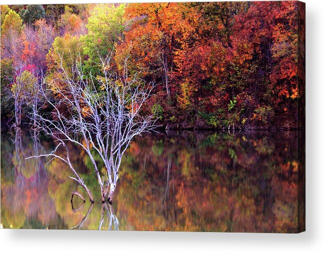 Fall Acrylic Print featuring the photograph Autumn at Alum Creek by Angela Murdock