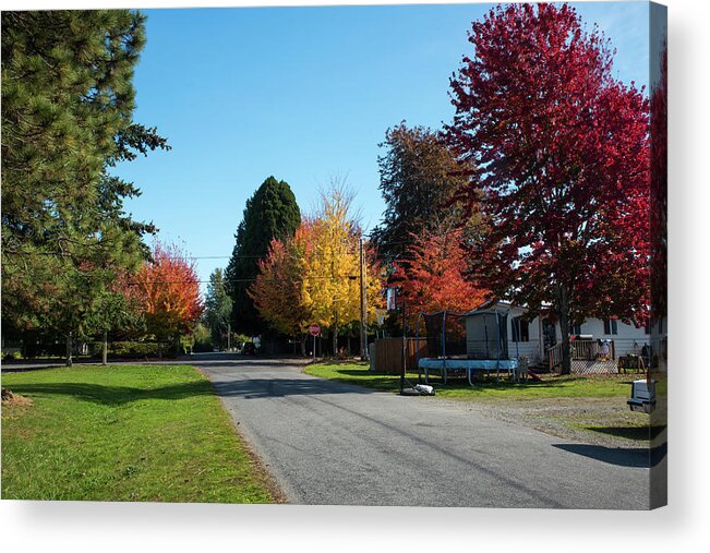 Autumn Color On Alder Street Acrylic Print featuring the photograph Autumn Color on Alder Street by Tom Cochran