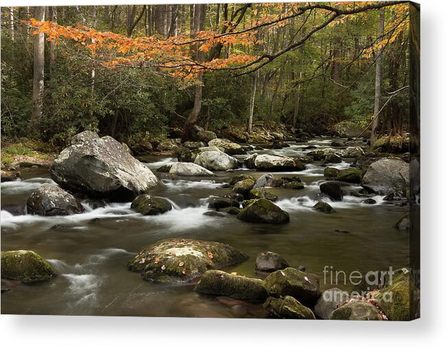 Tennessee Stream Acrylic Print featuring the photograph Autumn Flowing Through The Mountains by Mike Eingle
