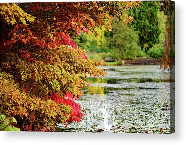Autumn Acrylic Print featuring the photograph Autumn Glory by the Pond by Maria Janicki