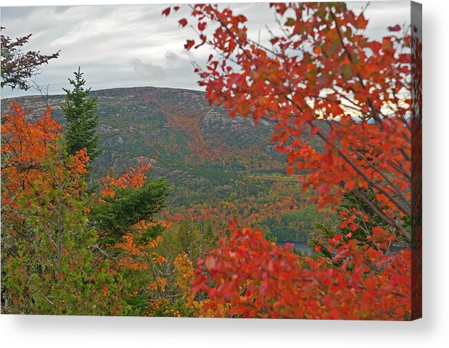 Acadia National Park Acrylic Print featuring the photograph Autumn in Acadia by Paul Mangold