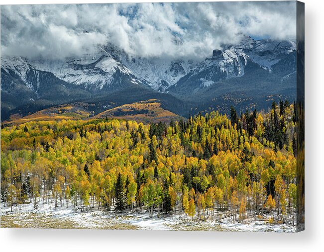 Aspen Acrylic Print featuring the photograph Autumn In The Clouds by Denise Bush