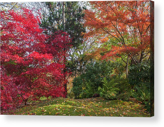 Jenny Rainbow Fine Art Photography Acrylic Print featuring the photograph Autumn Time in Japanese Garden 5 by Jenny Rainbow