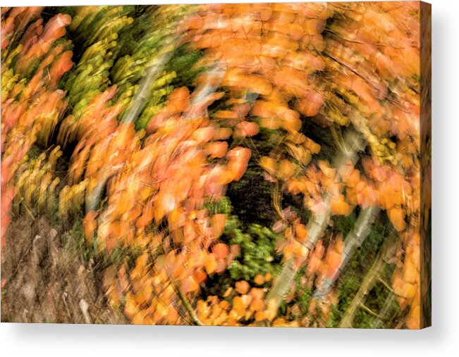 Abstract Acrylic Print featuring the photograph Autumn Vortex by Denise Bush