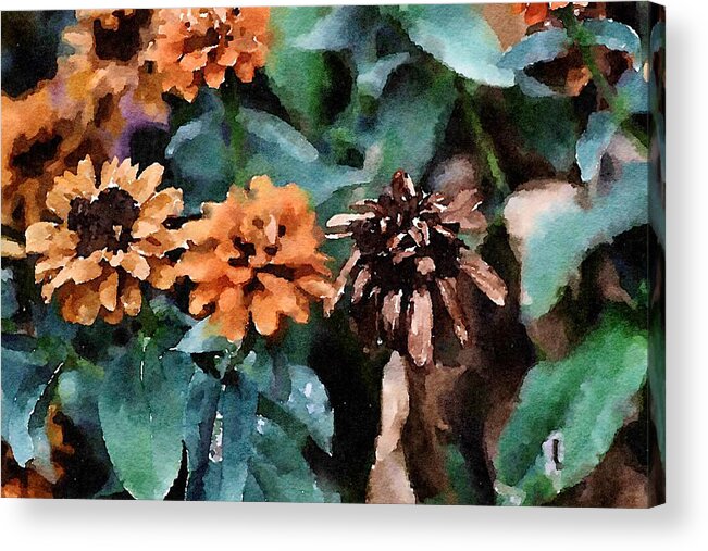 Autumn Acrylic Print featuring the painting Autumn Zinnias by Bonnie Bruno