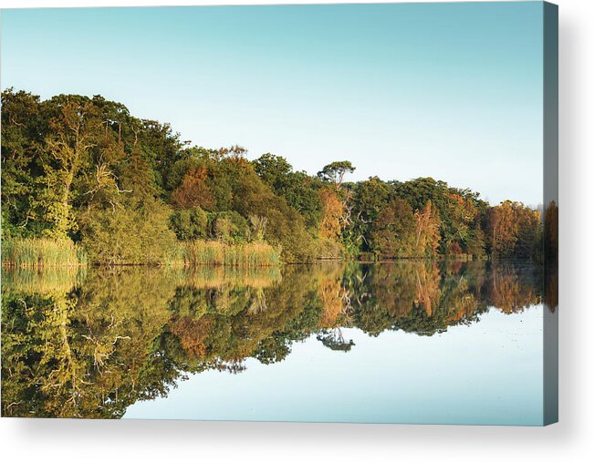 Lake Acrylic Print featuring the photograph Autumnal Reflections by Tanya C Smith