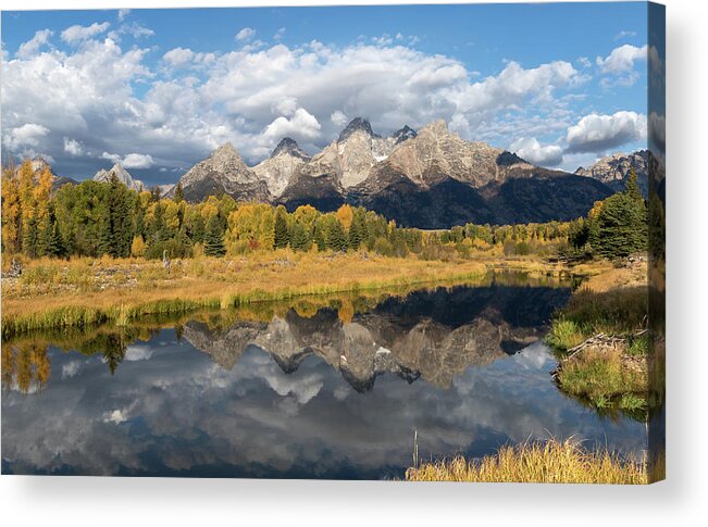 Grand Acrylic Print featuring the photograph Autumn's Beauty by Ronnie And Frances Howard