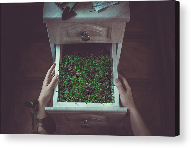 Grow Acrylic Print featuring the photograph Avoir La Main Verte by Dina Belenko