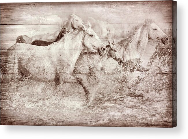 Animals Acrylic Print featuring the digital art Band of Brothers in Sepia by Debra and Dave Vanderlaan