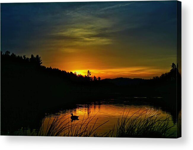 Bass Lake Acrylic Print featuring the photograph Bass Lake Sunrise Duck by Meta Gatschenberger