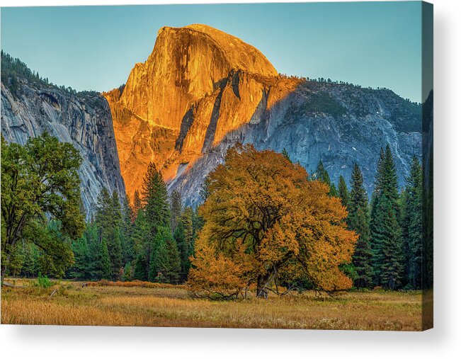 Autumn Acrylic Print featuring the photograph Battle of the Orange by Peter Tellone