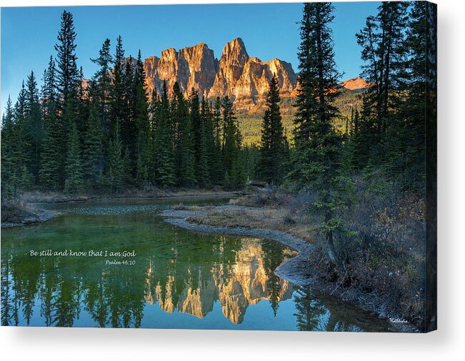 2015 Acrylic Print featuring the photograph Be Still by Tim Kathka