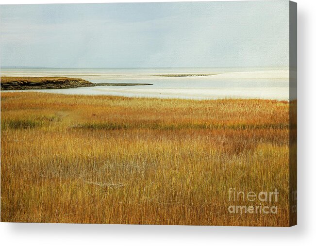 Beach Acrylic Print featuring the photograph Beach Marsh by JBK Photo Art